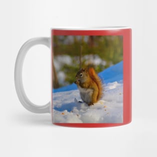 Squirrel munching Mug